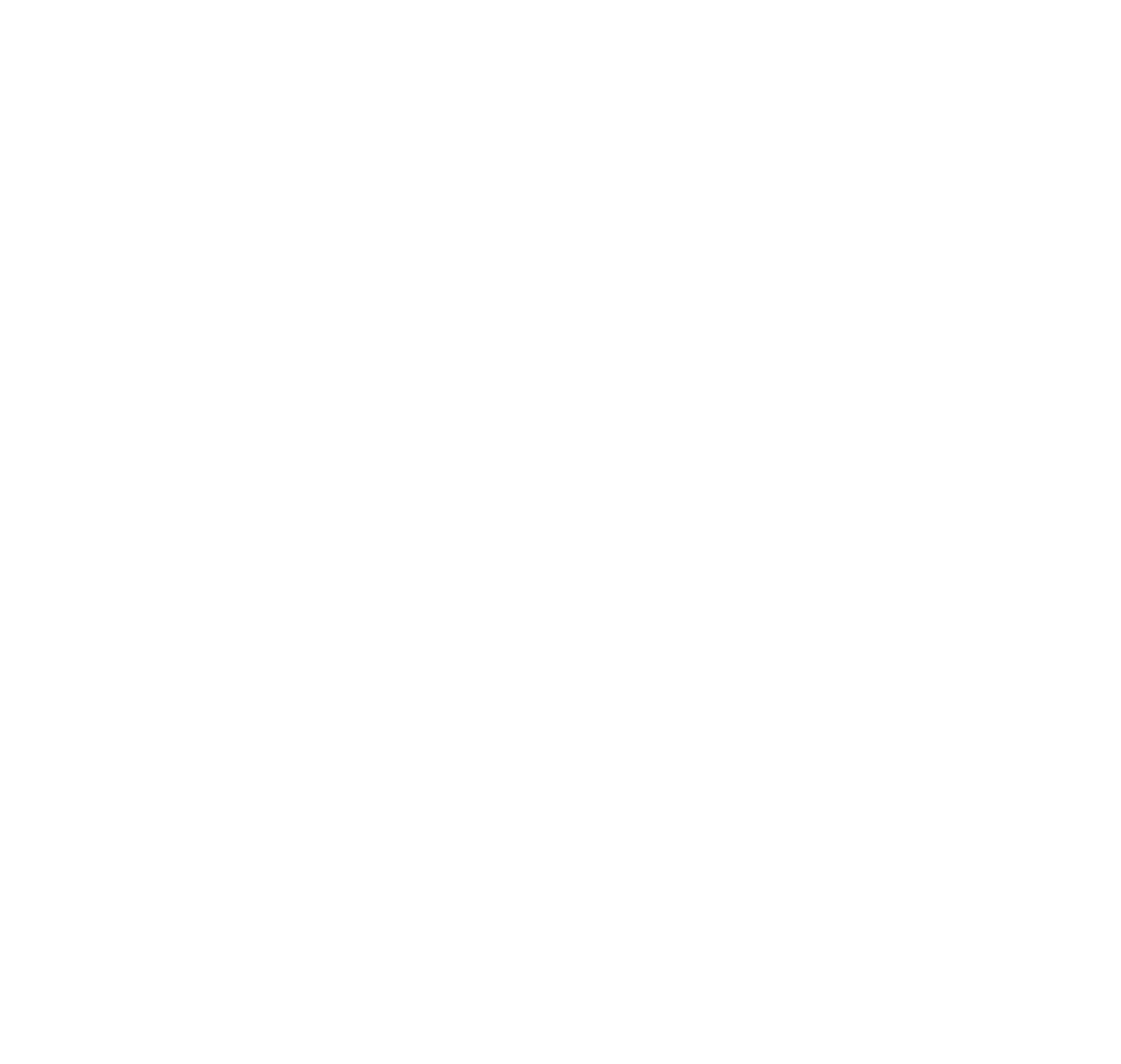 Custom e-commerce websites for serious businesses!