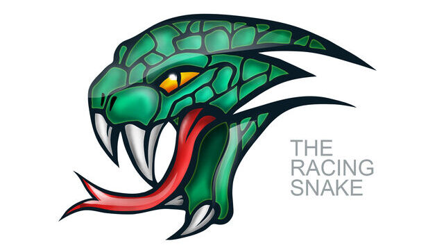 The Racing Snake