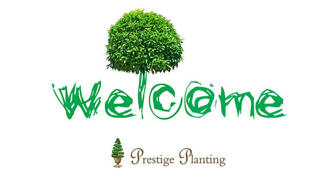 Prestige Planting